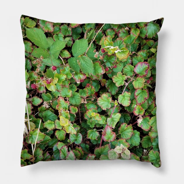 Blackberries Pillow by Kyarwon