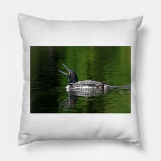 Call of the loon - Common Loon Pillow