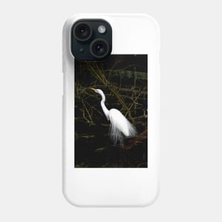 Breeding Great Egret Phone Case