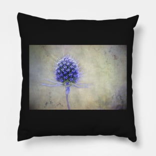 Blue Thistle, photo art Pillow