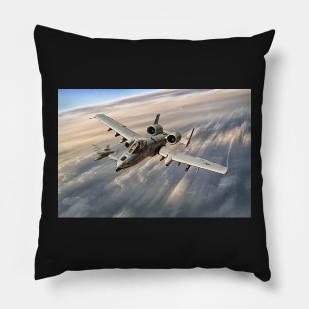 The Hogs Pillow by aviationart