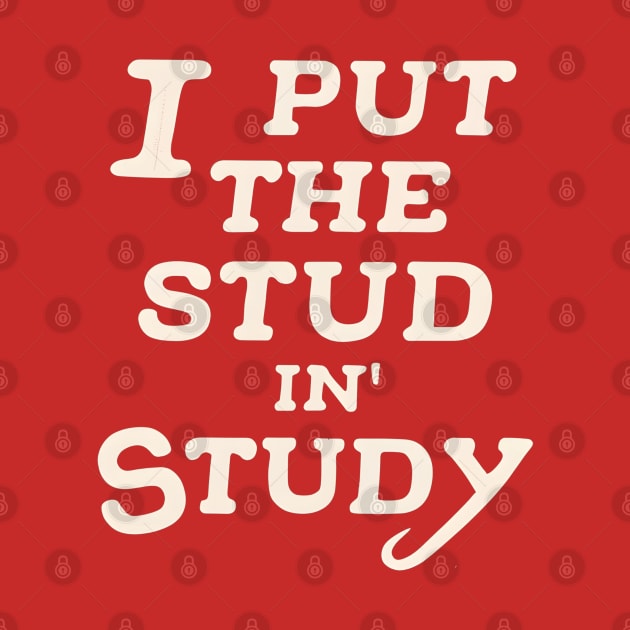 I put the stud in study by NomiCrafts