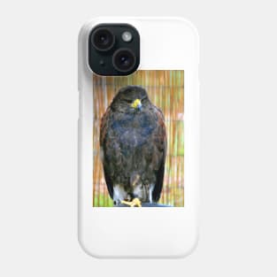 Harris Hawk Bird Of Prey Phone Case