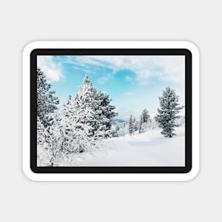 Frozen White Winter Landscape in Rondane National Park (Norway) Magnet