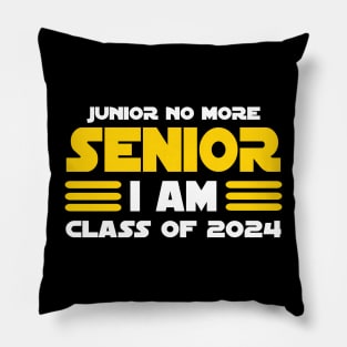 Class of 2024 Senior Gifts Funny Seniors 2024 Pillow