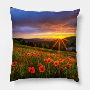 Beautiful landscap flowers and sunset Pillow