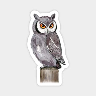 A watercolor drawing of a white-faced owl Magnet