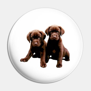 Labrador Retriever Puppy Dog So Cute Pin