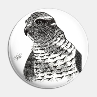 Goshawk Pin