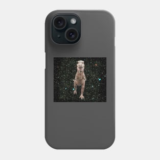 Vintage T Rex toy in space Phone Case