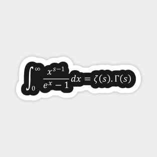 Riemann Zeta function and Euler Gamma Function Magnet