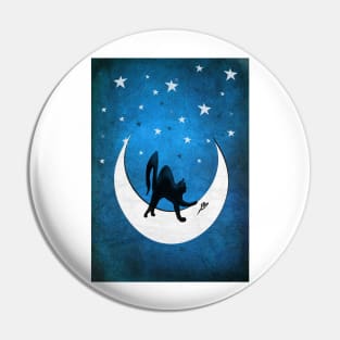 Cat on a moon chasing a mouse. Pin