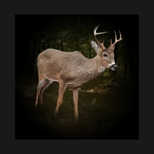 Virginia deer T-Shirt