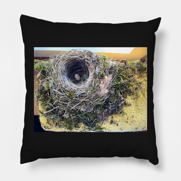 Birds Nest inside the Bathroom Pillow by ephotocard