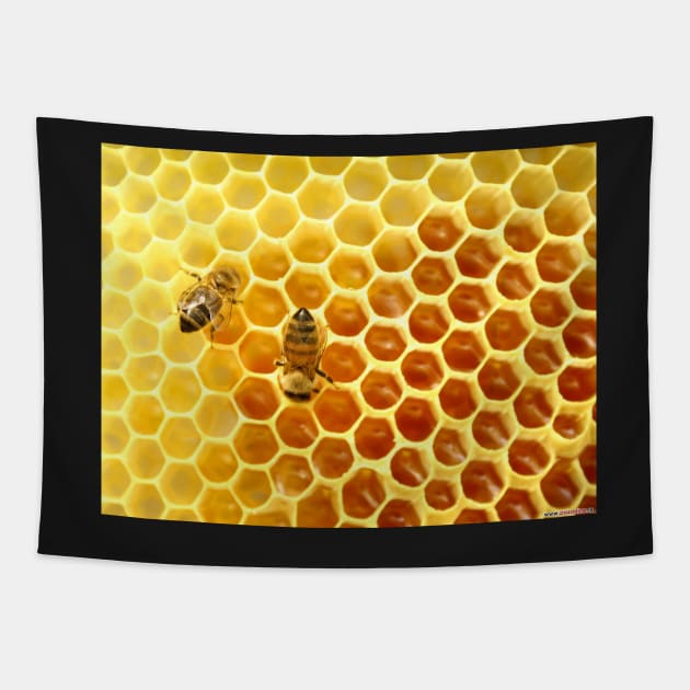 Honeycomb Tapestry by foxxya