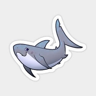 Graceful Shark Magnet