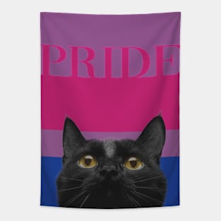 Vintage Black Cat Bisexual Pride Tapestry