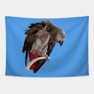 Einstein African Grey Parrot Waving, Bare Chest Tapestry