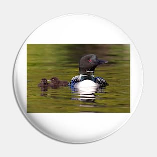 Looniage - Common Loon Pin