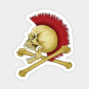 Mohawk skull cross bones Magnet