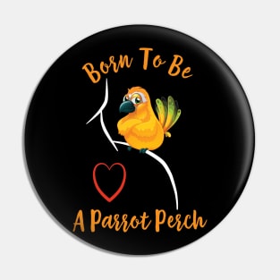 Sun Conure Parrot on Shoulder - Born to be a Perch Pin