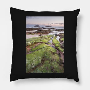 Seacliff Morning Pillow