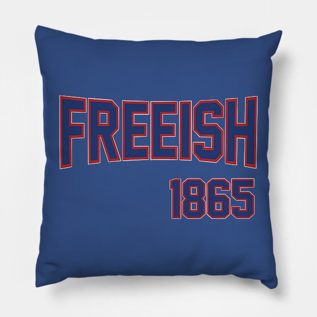 Freeish 1865 RWB Pillow by GardenCity Graffiti 