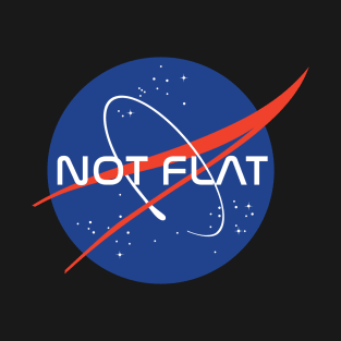 Not Flat T-Shirt