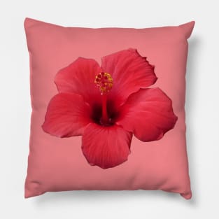 Stunning Red Hibiscus Tropical Flower Cut Out Pillow