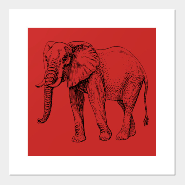 Elephant T Shirt I Love Elephants Funny T Shirt Animals