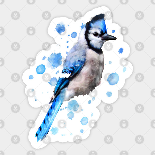 Watercolour Blue Jay Bird Artistic Animal Painting Blue Jay