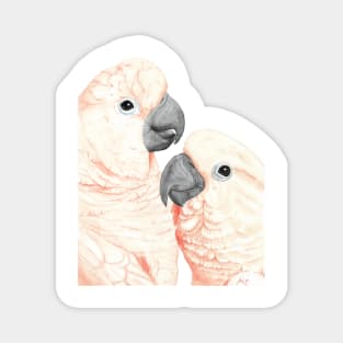 Moluccan cockatoos watercolor - parrot portrait painting Magnet