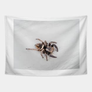 Jumping spider Tapestry
