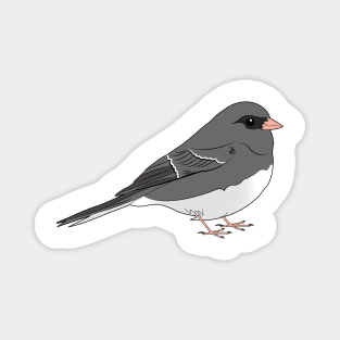 Dark Eyed Junco Magnet