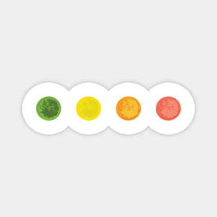 Citrus Polkadots Magnet