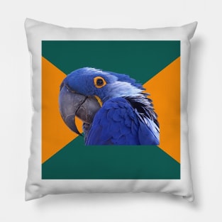 Paranoid Parrot Pillow