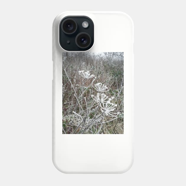 Frosted cow parsley Phone Case by esvb