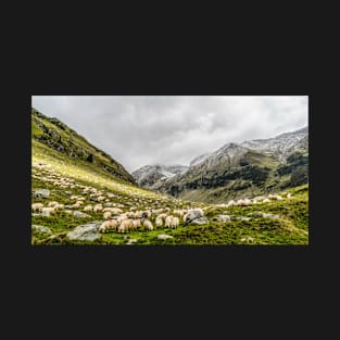 Domestic Sheep and Mountains T-Shirt