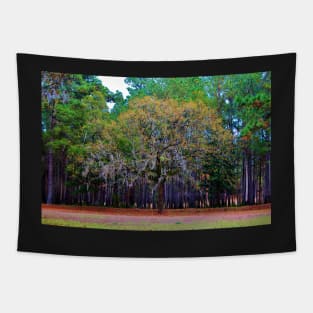 Pine Tree Landscape Tapestry