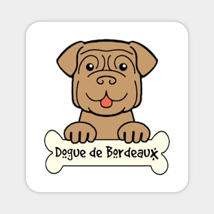 Dogue de Bordeaux Magnet