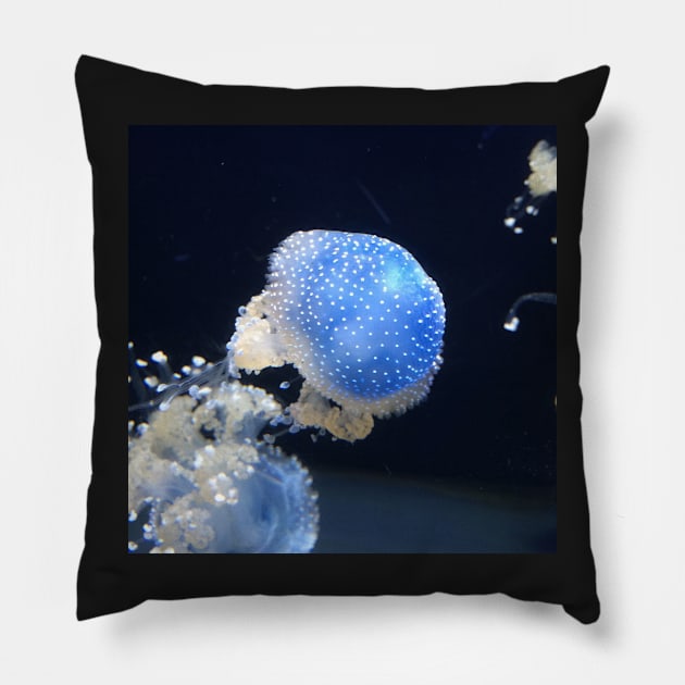 Jellyfish Pillow by marisaj4488