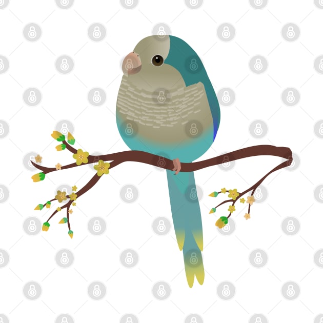 Cute egg shaped blue quaker parrot or monk parakeet by Bwiselizzy