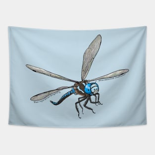 Blue-eyed Darner Dragonfly, Flying Tapestry