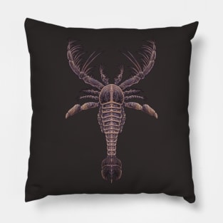 Megalograptus welchi Pillow