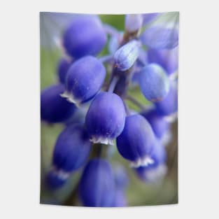 Purple Bells Tapestry