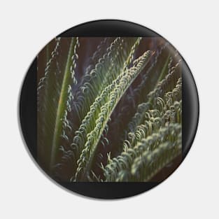 Instagram Plants Pin