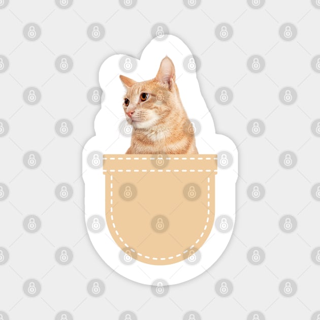 Orange Cat in Pocket (Ginger Domestic Short Hair) Magnet by leBoosh-Designs