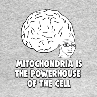 Most Popular Memes Finally A Scientific List Of The Most Popular Memes On The Internet Quartz