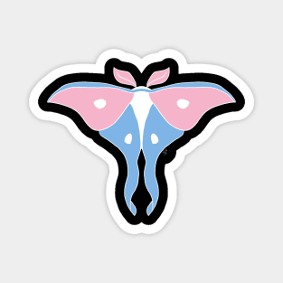 Trans luna moth Magnet