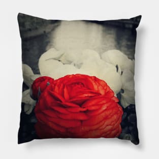 vintage red Pillow